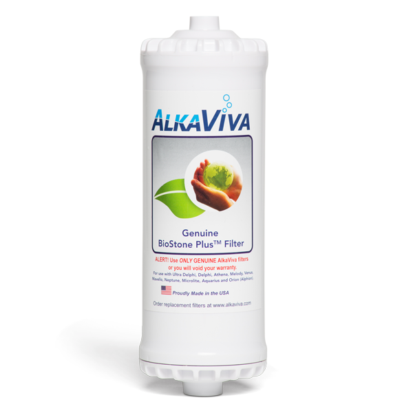 Biostone Plus Replacement Filter